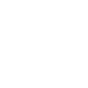 Logo White